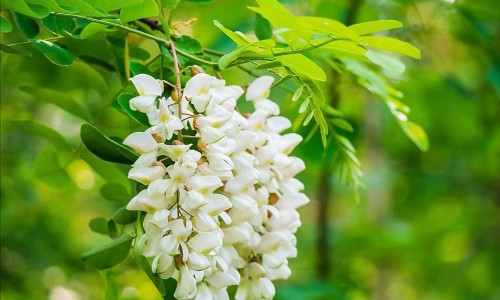 女性早上起床手心出汗-成年女性晨起时手心 脚心出汗网 | 女人早上睡醒手脚出汗,女人早上睡醒手脚出汗
