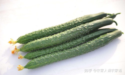 女人早上起来手心发热-成年女性晨起时手心 脚心出汗网 | 女人早上睡醒手脚出汗,女人早上睡醒手脚出汗